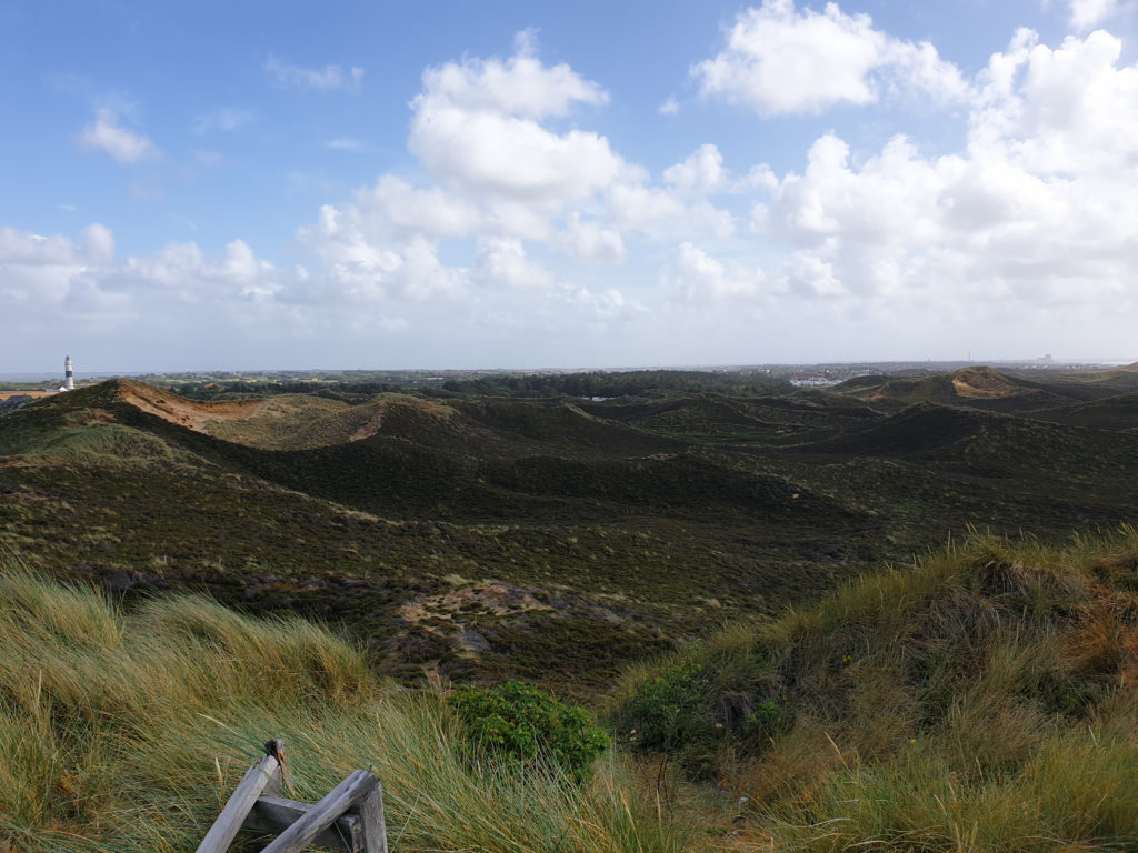 Weitblick auf Sylt 