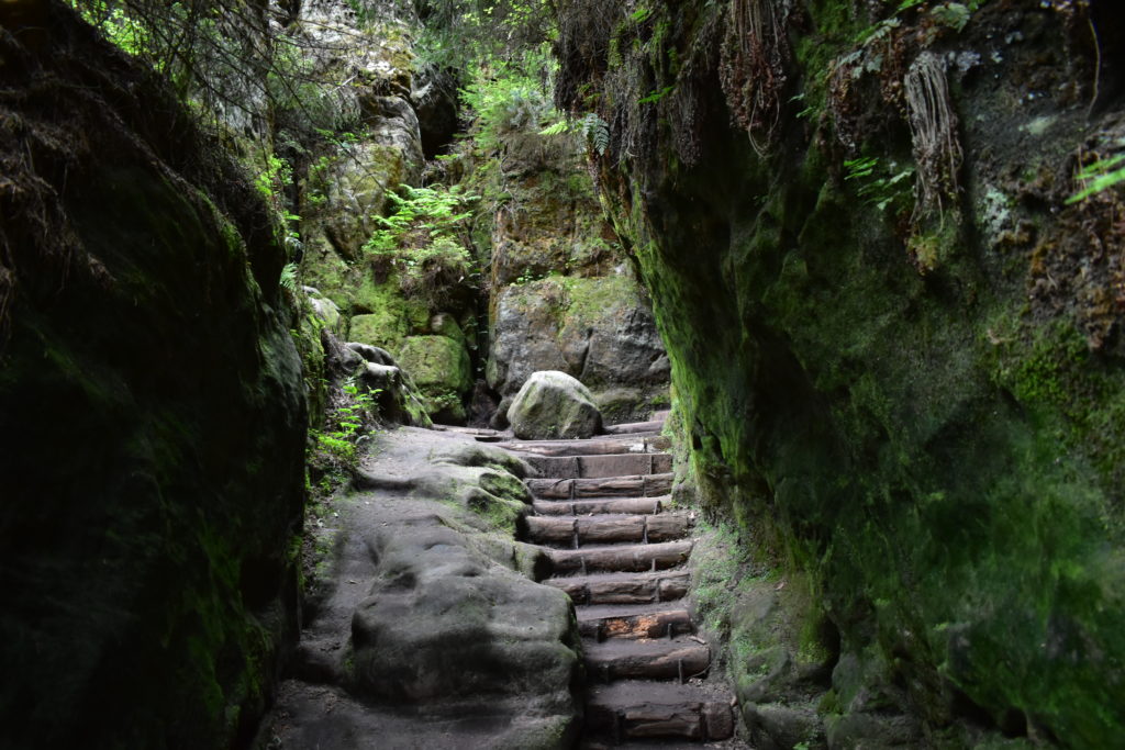 Schwedenlöcher Elbsandsteingebirge 