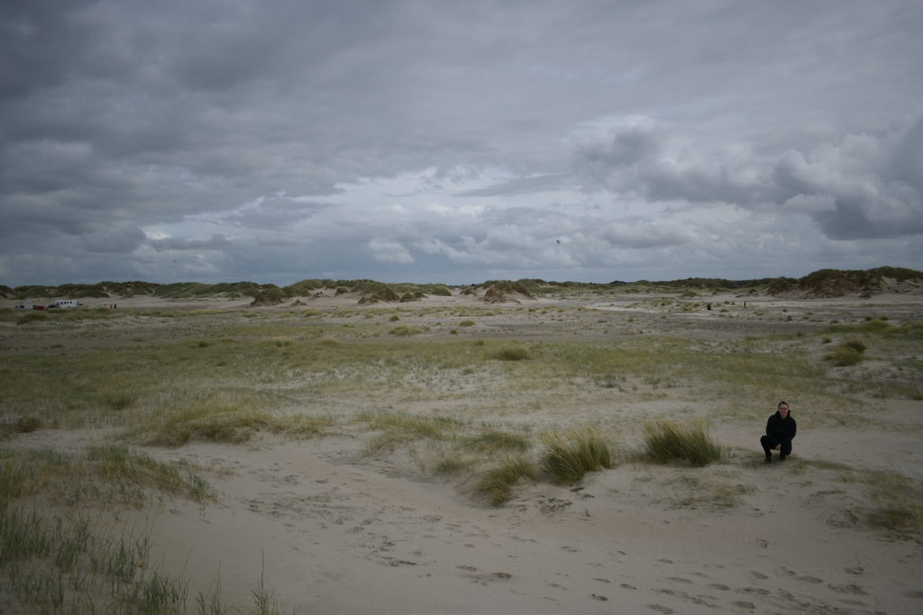 Dünenfelder auf Rømø