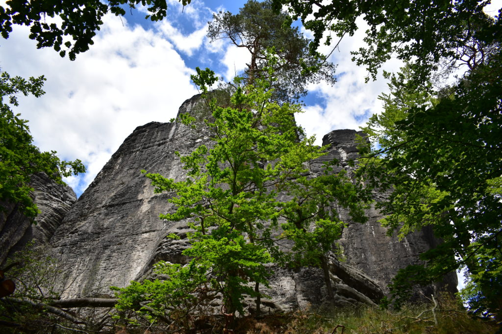 Blick auf Felsen