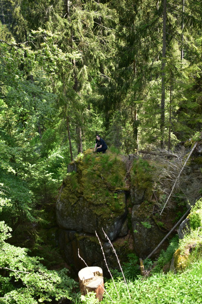 Wirklich wildes Erzgebirge 