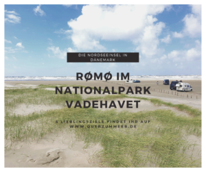Natur erleben auf Rømø, im Nationalpark Wattenmeer