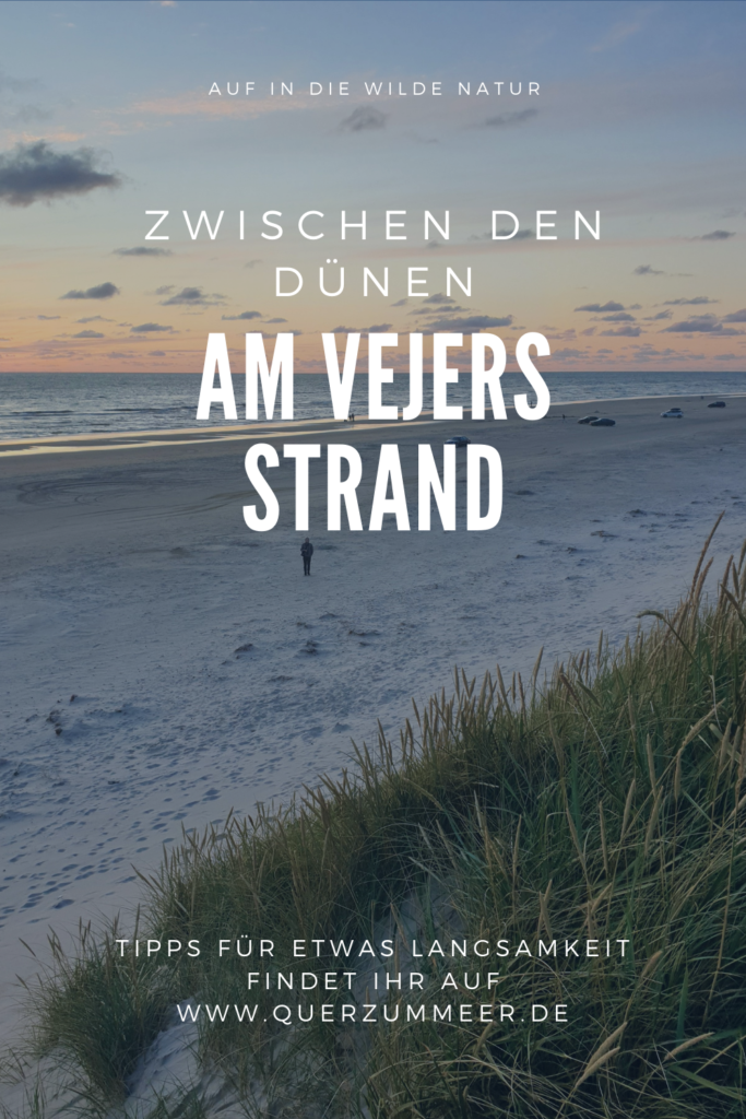 Am Vejers Strand 