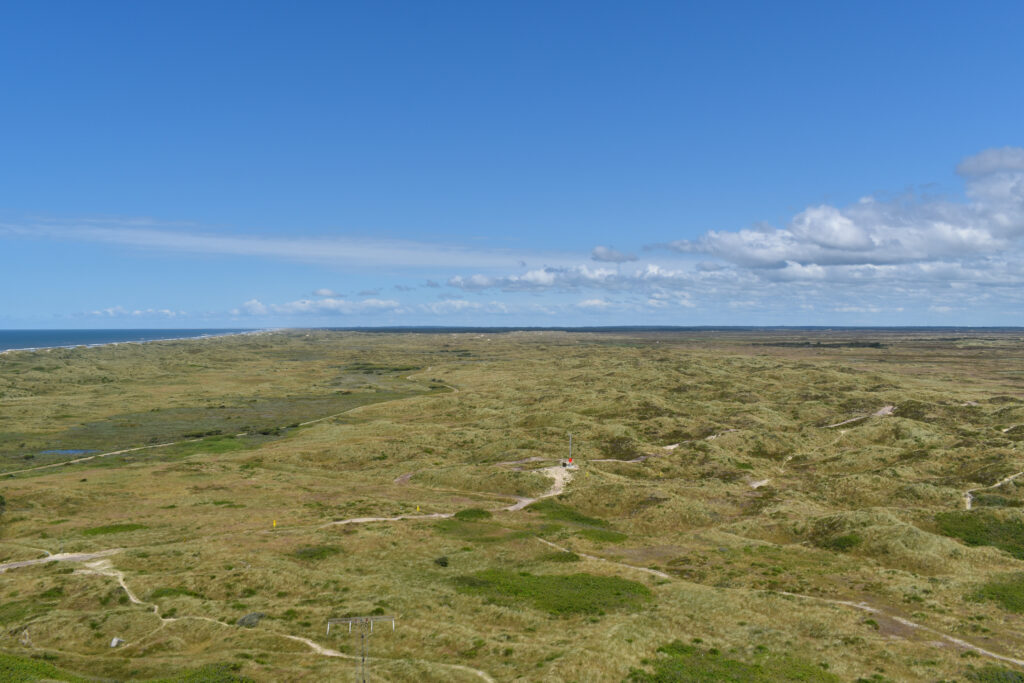 Blåvand Landschaft