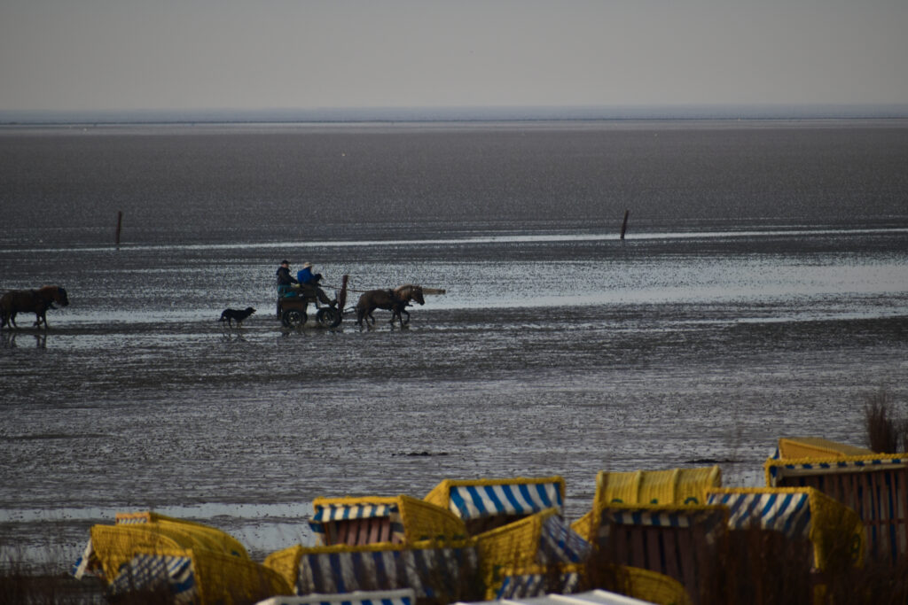 Nordsee Cuxhaven